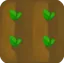 Garden Bed