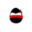 Ninja Hat